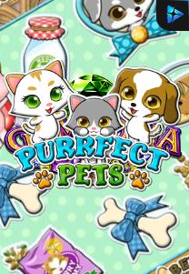 Bocoran RTP PURRFECT PETS di ZOOM555 | GENERATOR RTP SLOT